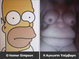 HOMER.jpg